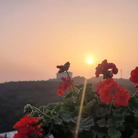 Selami Sea View Lukovë