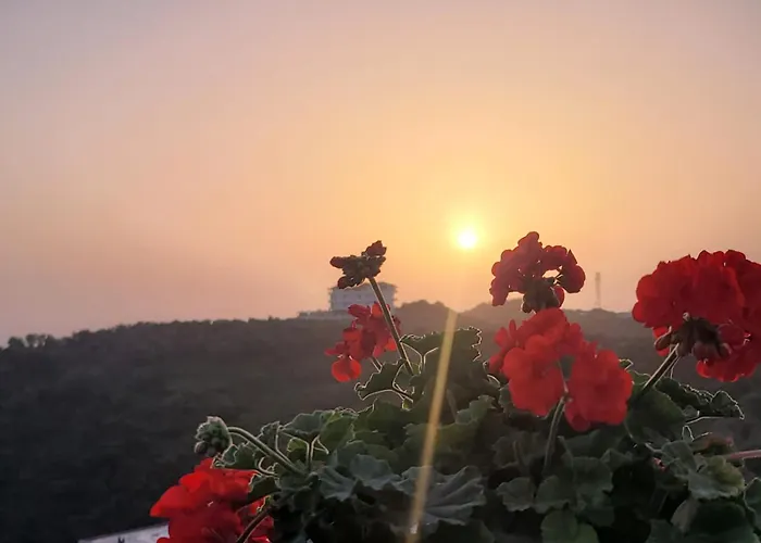 Selami Sea View Lukove